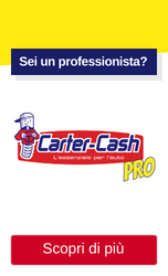 IT - Carter-Cash PRO