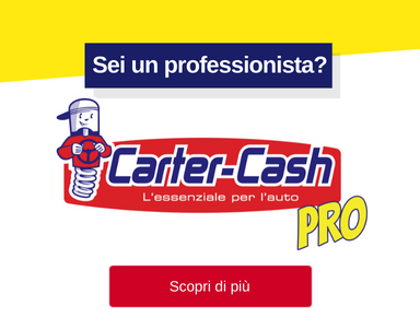 IT - Carter-Cash PRO