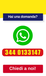 WHATS APP